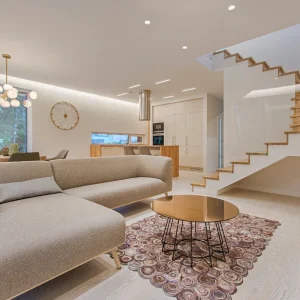 Project Image 1 300x300